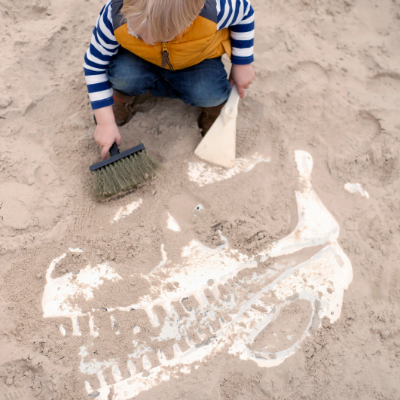 stock image of a child brushing a dinosaur skeleton