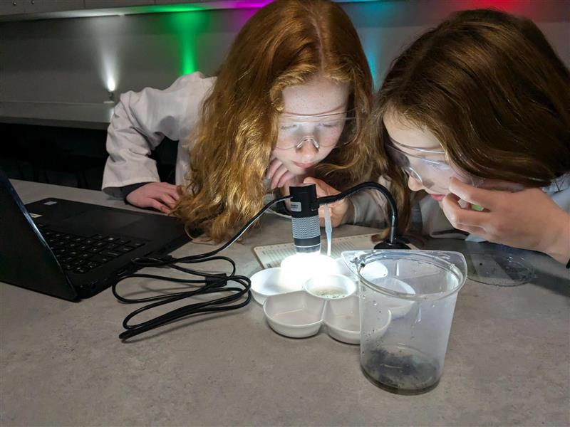 Child Ticket Voucher