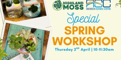 Special Spring Workshop