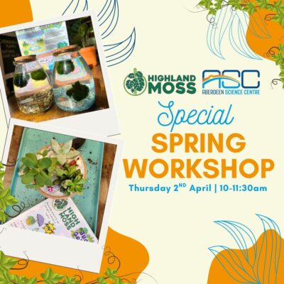 Special Spring Workshop