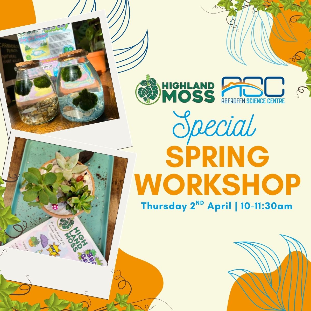 Special Spring Workshop