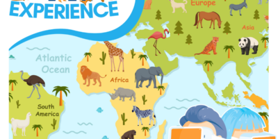 VR Experience: Ecosystem Exploration