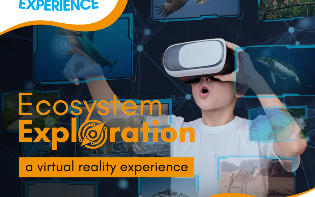 VR Experience: Ecosystem Exploration