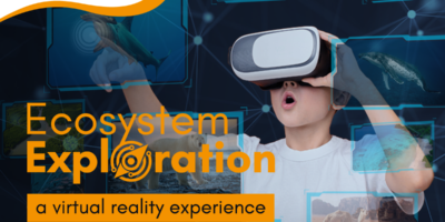 VR Experience: Ecosystem Exploration