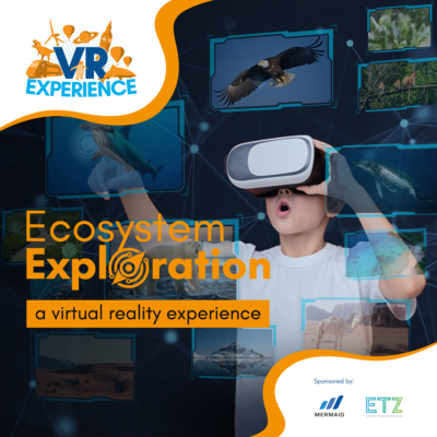 VR Experience: Ecosystem Exploration
