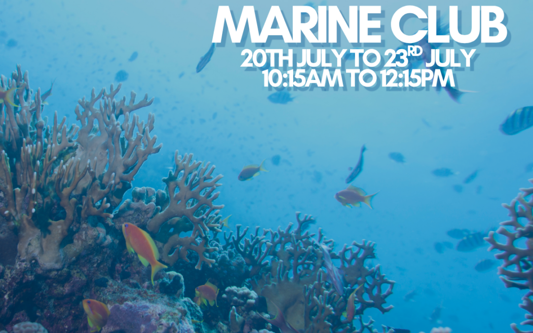 Marine Club