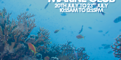 Marine Club