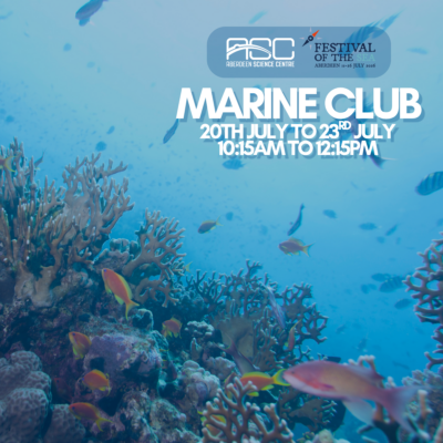 Marine Club